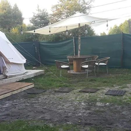 Glamping Z Alpakami *