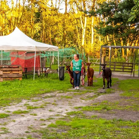 Glamping Z Alpakami *
